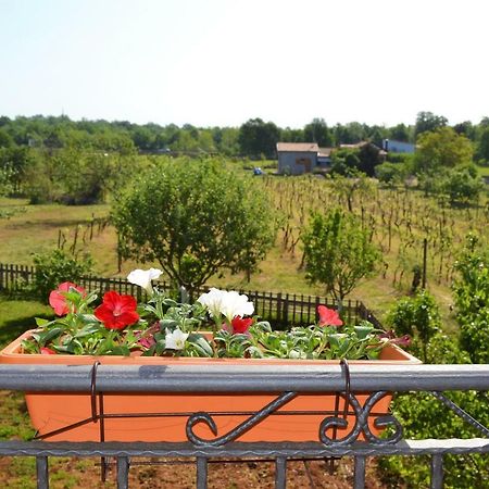 Apartments Marko Poreč Zewnętrze zdjęcie
