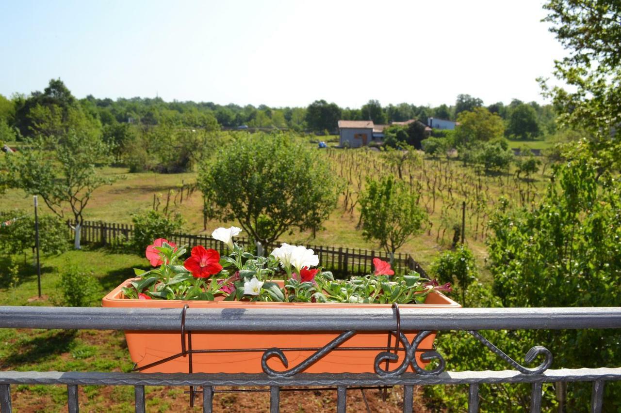 Apartments Marko Poreč Zewnętrze zdjęcie